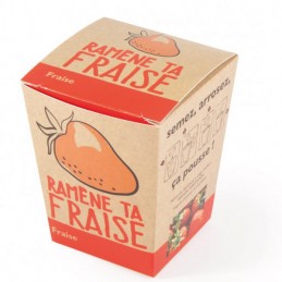 KIT A PLANTER  - RAMÈNE TA...